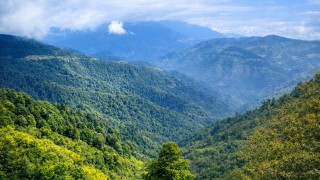 سيدي، نتمنى لكم عطلة هادئة وممتعة وسعيدة